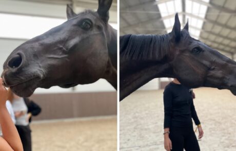 fundacjatwoja_org_03