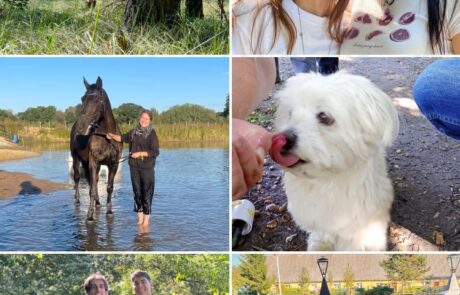 fundacjatwoja_org_05